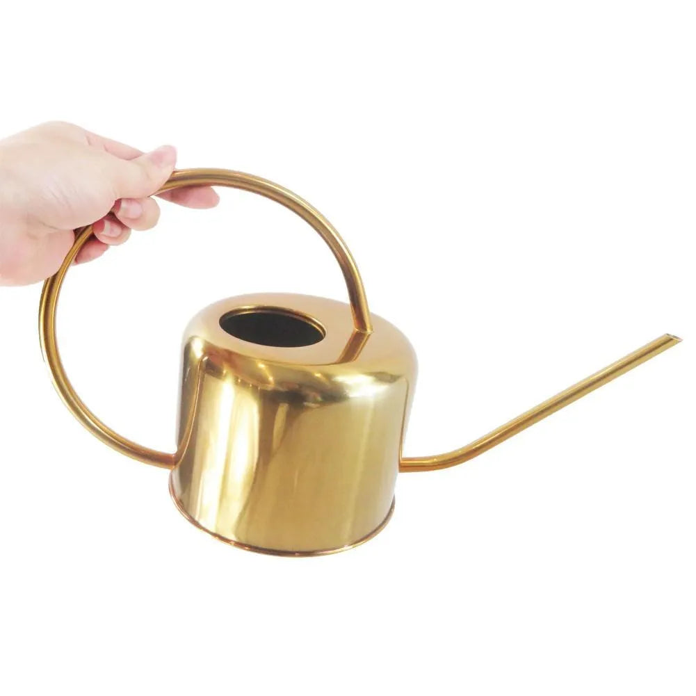 Stainless steel 2 litre watering pot with long spout for garden watering