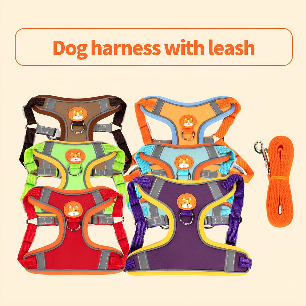 Purple adjustable dog haulage rope harness with chest strap shown on a medium-sized dog.