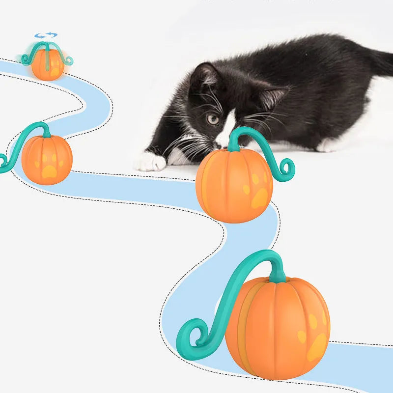 Electric glowing cat toy ball with automatic movement in watermelon or pumpkin design
