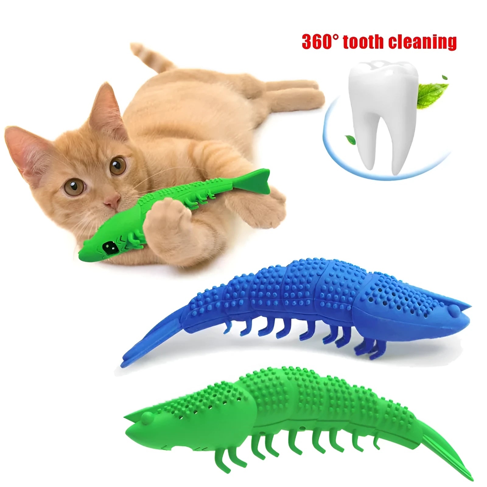 Blue hard rubber catnip toy with textured dental cleaning surface and bell inside