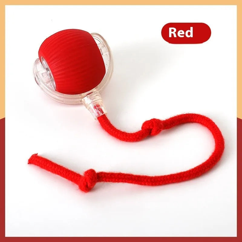 Interactive electronic cat toy ball with coloured lights on grey, green, and red backgrounds.