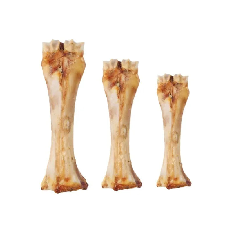 Dog dental chew molar rod in three sizes with roasted ox bone flavour for teeth cleaning