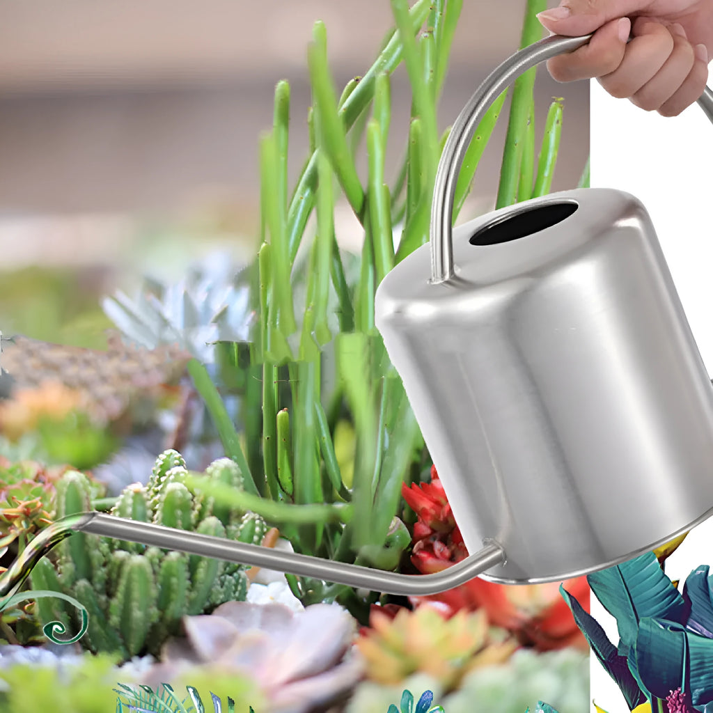 Stainless steel 2 litre watering pot with long spout for garden watering