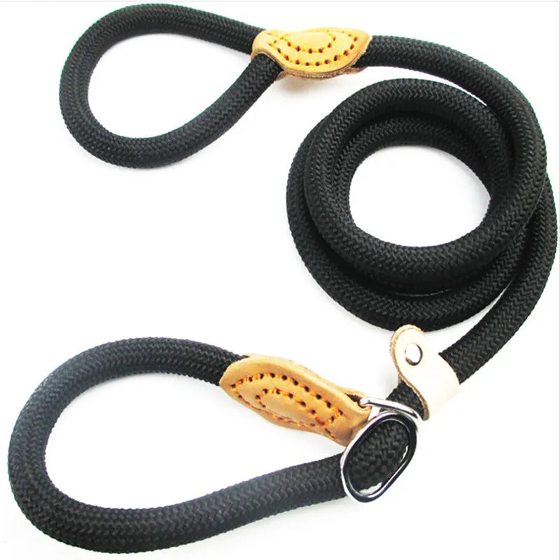 Brown nylon P chain dog leash with hand-holding rope, shown at full 2.1m length.