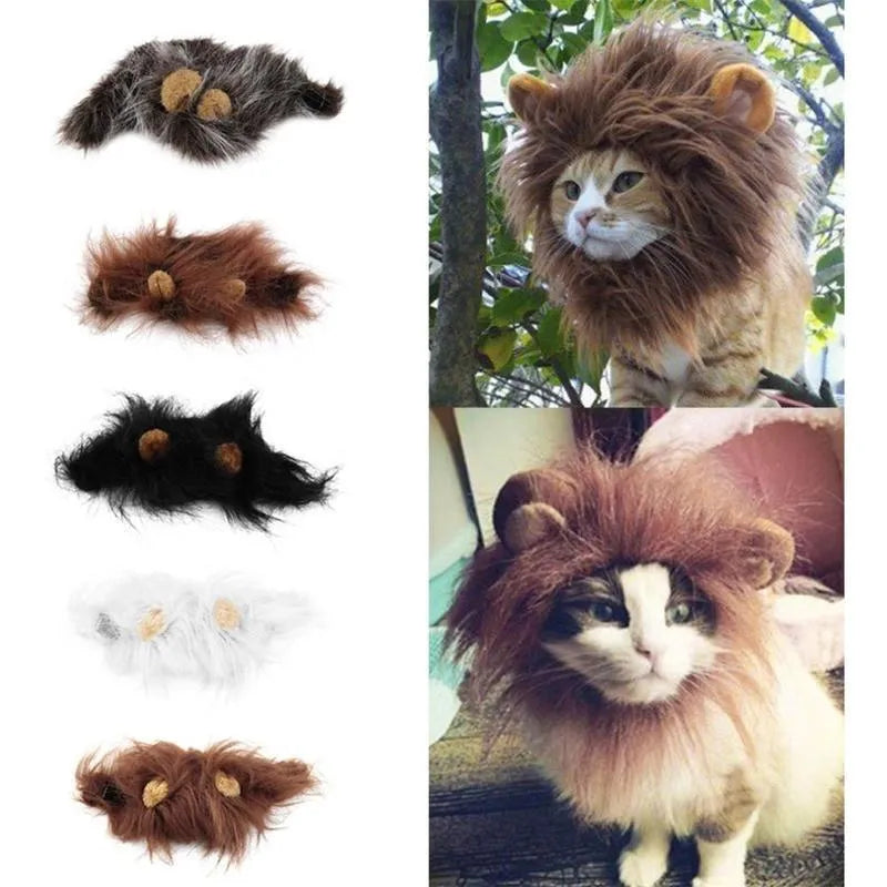 Small dog wearing a black lion mane hat with ears and scarf for a Halloween costume