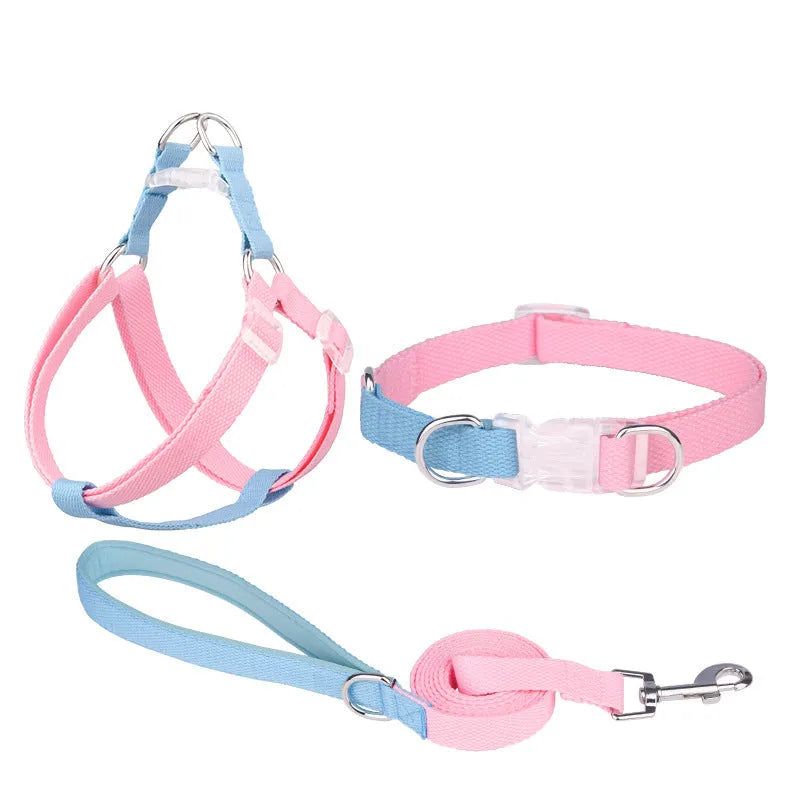 Polyester ribbon dog collar set with hand holding rope and chest strap in multiple colour options