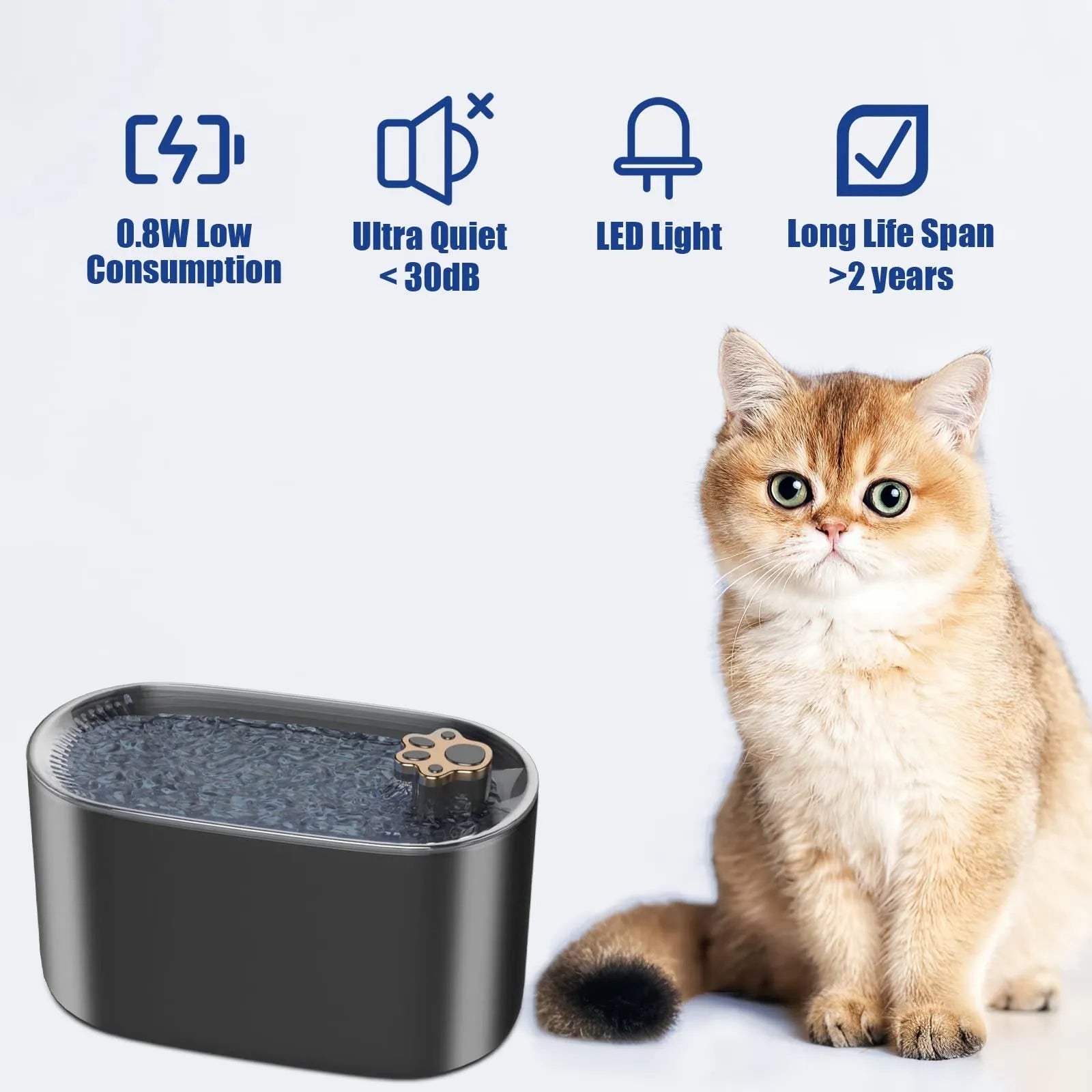 Berlin Blue 3-litre automatic pet water fountain with filter and LED light on a wooden floor.