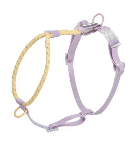 PVC solid colour dog leash with hand holding rope in dark red or taoyao green, 120cm length