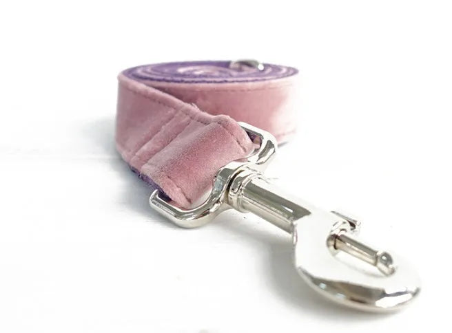 Adjustable nylon dog collar set in pink purple, five sizes from XS to XL for small to extra-large dogs