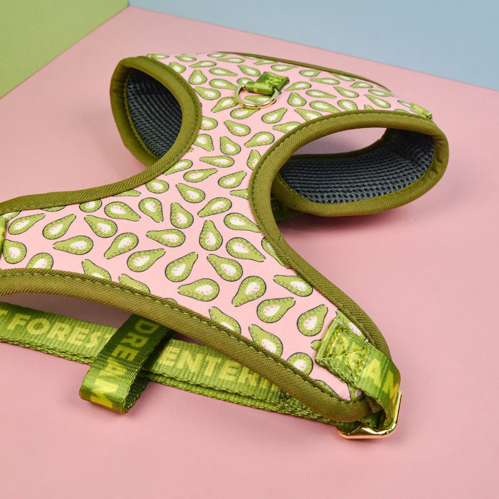 Polyester chest-back dog harness and lead set in a choice of six colourful patterns, sized for medium and large dogs.