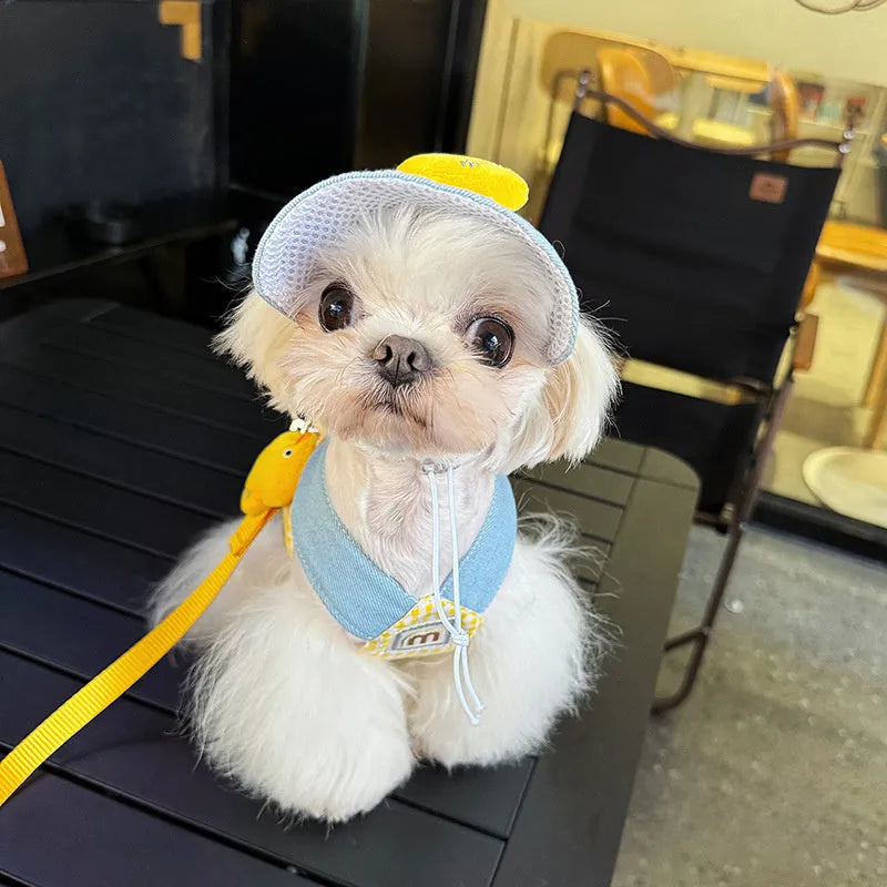 Three-piece pet clothing set with cute hat, dog harness, and wire rope leash in spring summer design