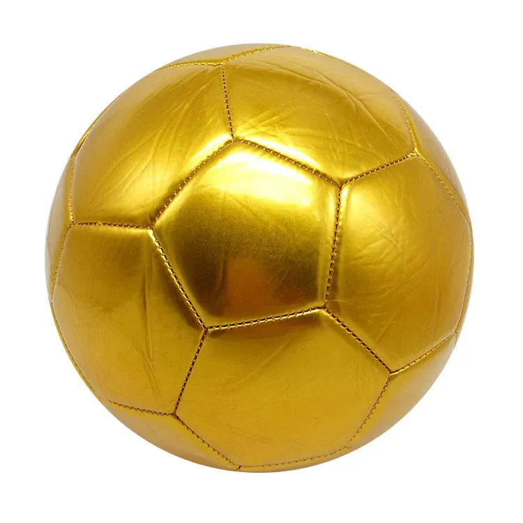 Machine seam PVC training football in multiple sizes and colour designs including Red Dragon Roll pattern