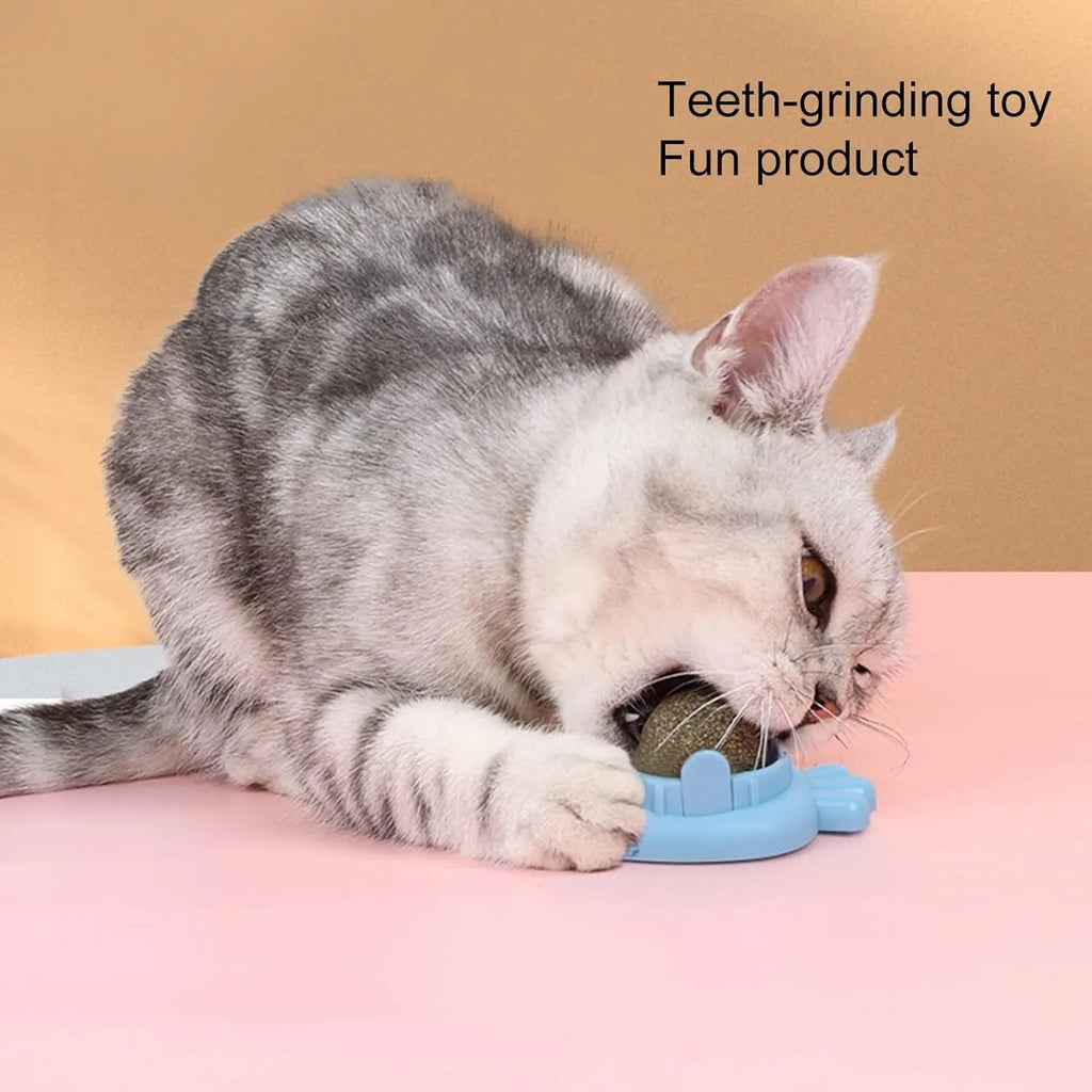 Blue carrot-shaped catnip ball with self-adhesive sticker for wall mounting