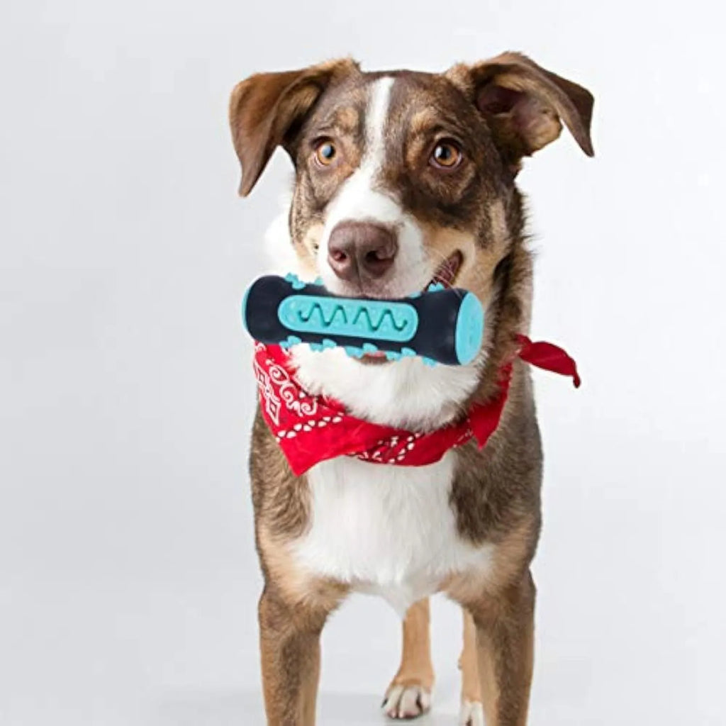 Natural rubber dog toothbrush chew toy in blue colour for dental cleaning, 15cm long.