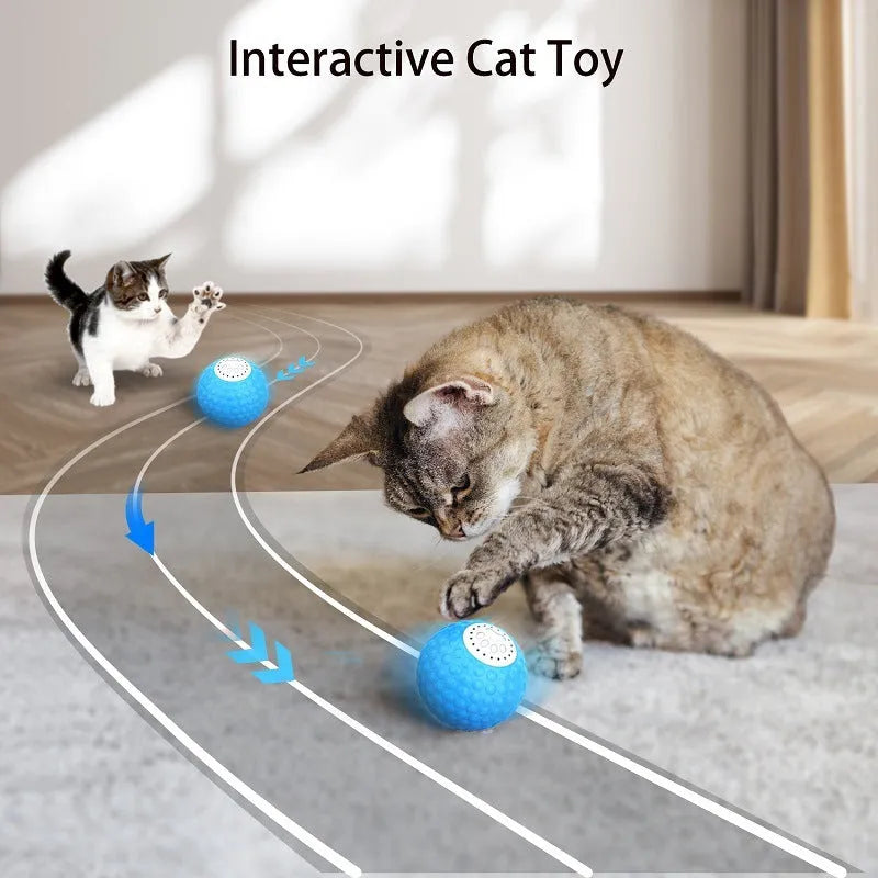 Remote control cat ball interactive toy in blue, green, or yellow colour options