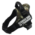 Reflective adjustable no-pull dog harness with chest strap and handle on a dog