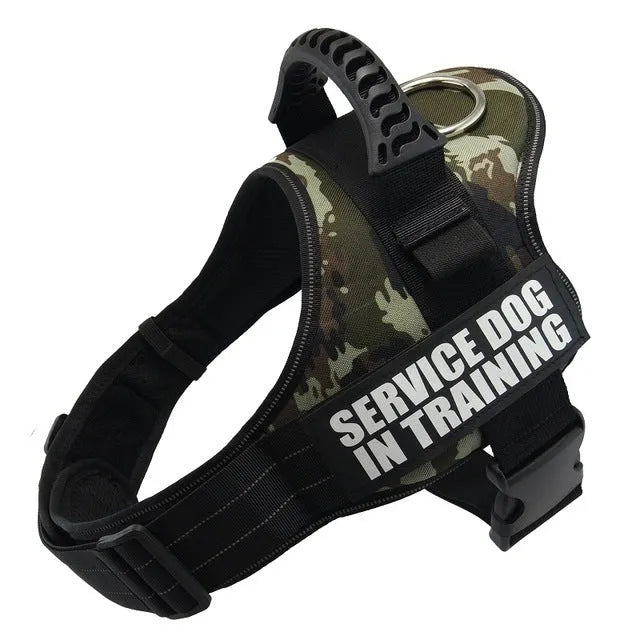 Reflective adjustable no-pull dog harness with chest strap and handle on a dog