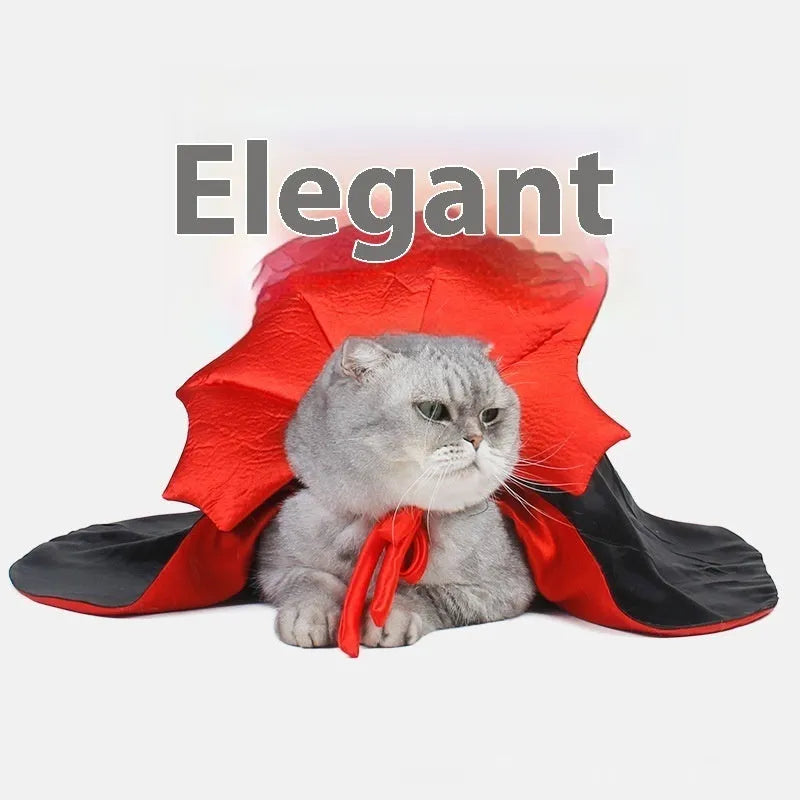 Black and red Halloween costume for cats and dogs with European American styling