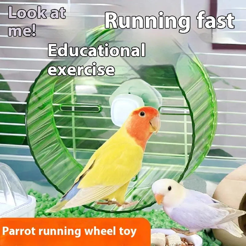 21cm plastic parrot running wheel toy in transparent, green, grey, orange, or purple colour options