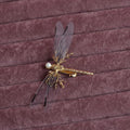 Golden dragonfly side clip headdress for women with alloy construction and electroplated finish