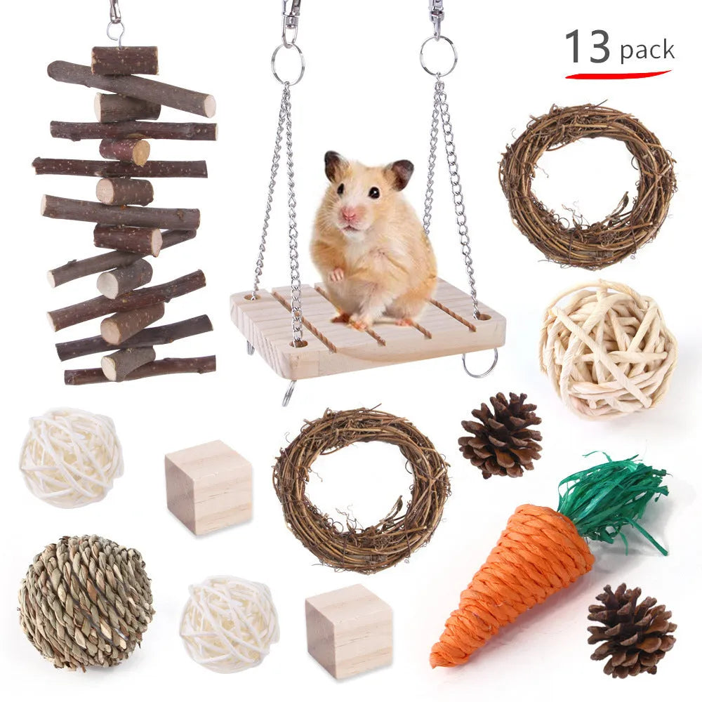 Assorted wooden chew toys for small pets including balls and mats on a natural background