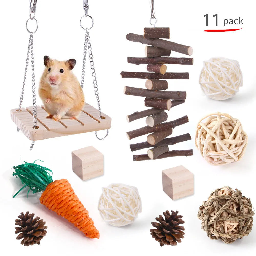 Assorted wooden chew toys for small pets including balls and mats on a natural background