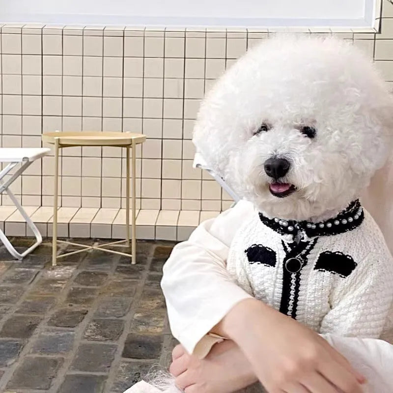 White Korean style dog sweater with pearl collar on small dog, showing princess cut and decorative details