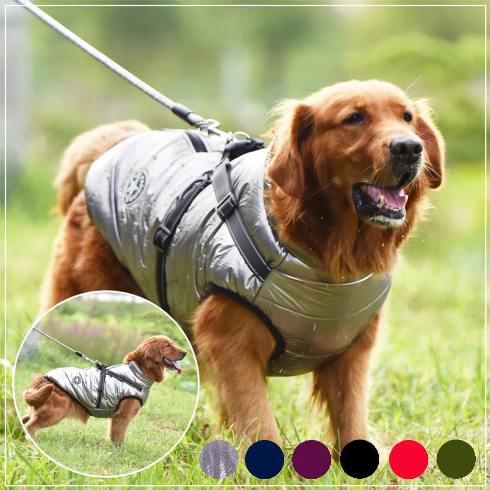 Waterproof dog coat with integrated harness in red, shown on a dog