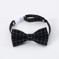 British-style Doctor's Degree elastic hair band and woolen felt bow tie set for a cat or dog, shown in yellow cap colour option.