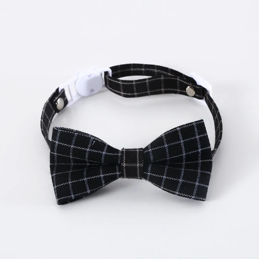 British-style Doctor's Degree elastic hair band and woolen felt bow tie set for a cat or dog, shown in yellow cap colour option.