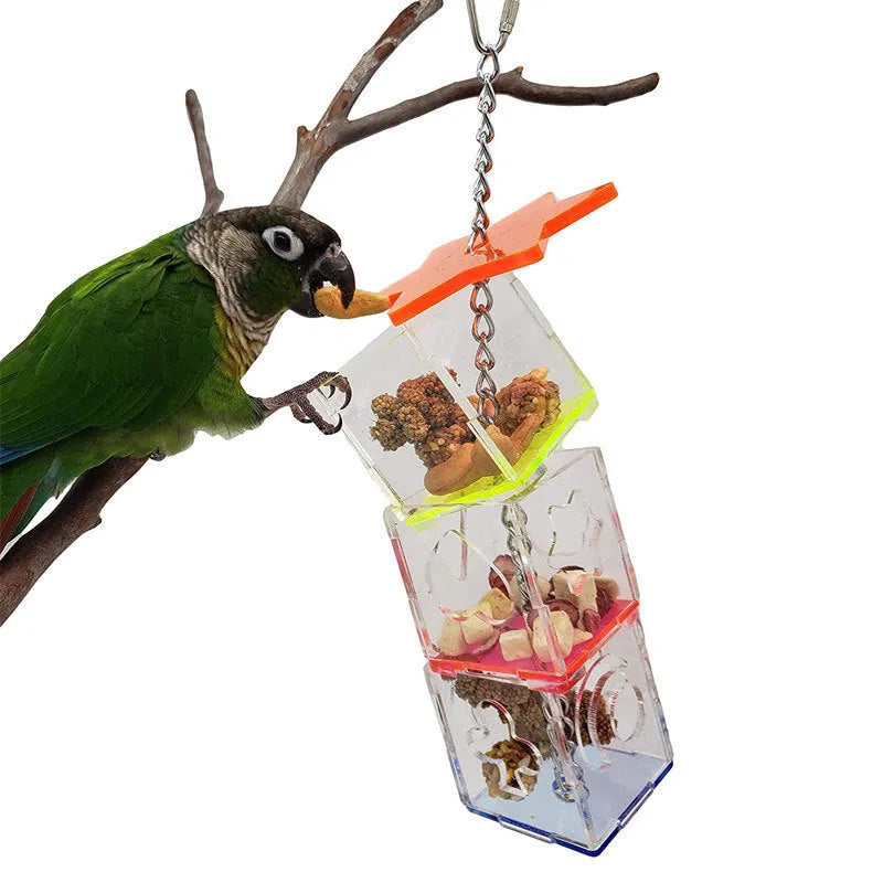 Transparent acrylic parrot foraging toy, 32 cm tall food container for bird nuts and fruit.