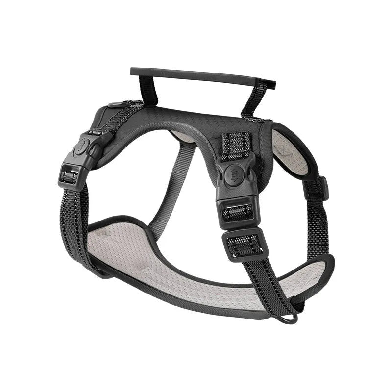 Polyester dog harness chest strap lead set in multiple colours with adjustable fitting