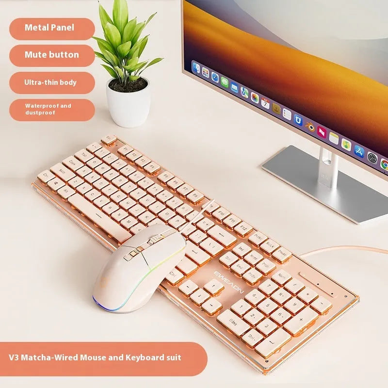 Prewalker V3 wired keyboard and mouse suit in retro green colour on desktop