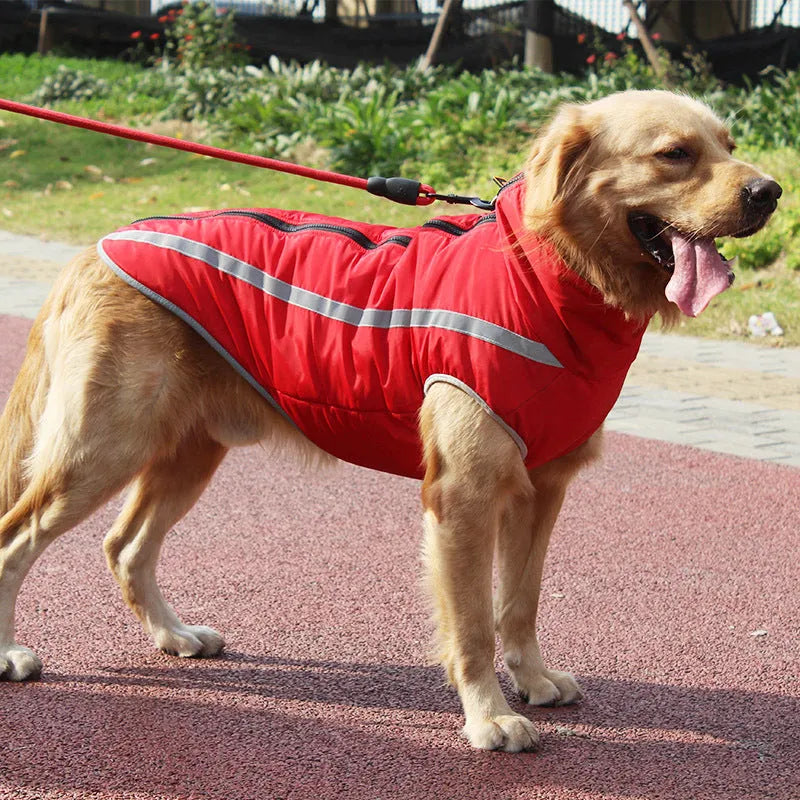 Thickened reversible polar fleece dog coat in blue for small to large dogs with windproof polyester shell