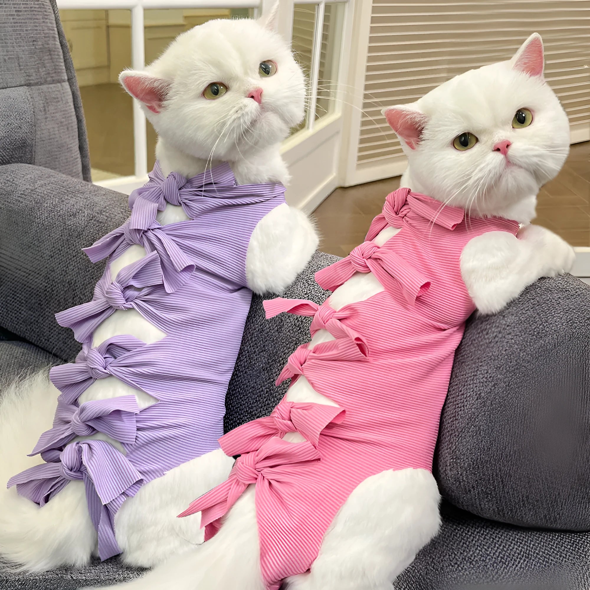 Adjustable lace-up cat sterilisation recovery suit in polyester, shown in various colours.