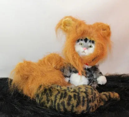 Small dog wearing a black lion mane hat with ears and scarf for a Halloween costume