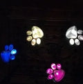 Black solar powered animal paw print LED garden lights set with four paw shapes and solar panel