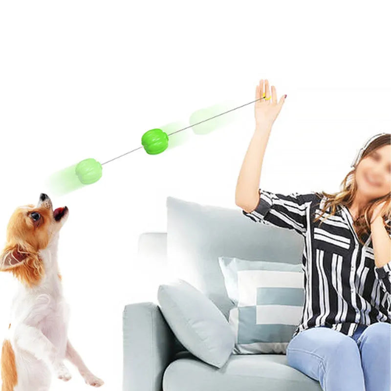 Plastic pumpkin dog chew toy with squeaker for small dogs in orange colour