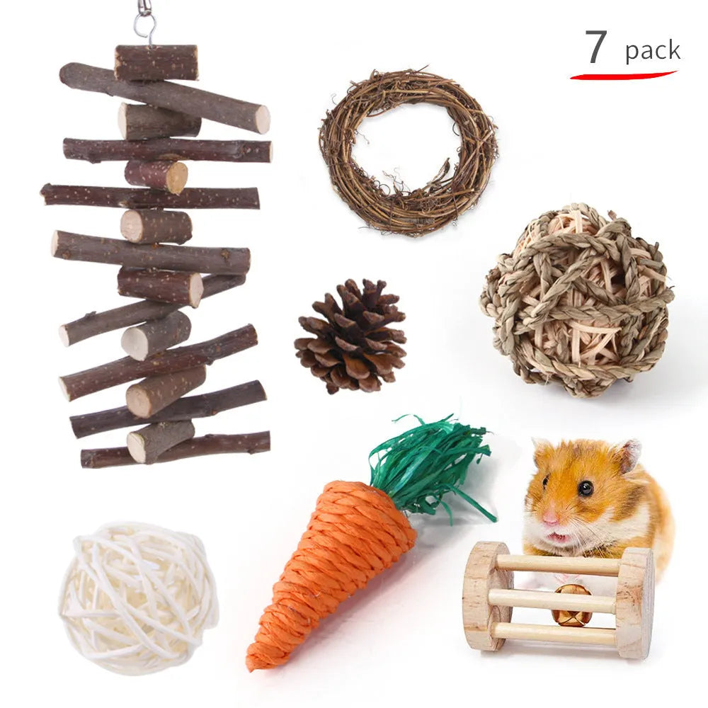Assorted wooden chew toys for small pets including balls and mats on a natural background