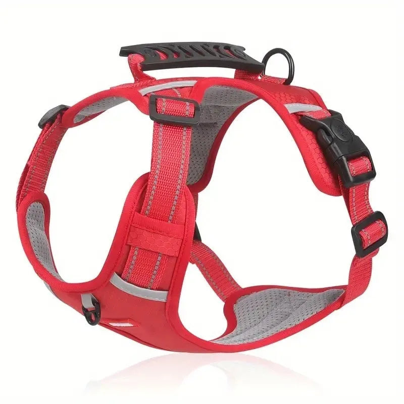 Polyester dog harness chest strap lead set in multiple colours with adjustable fitting