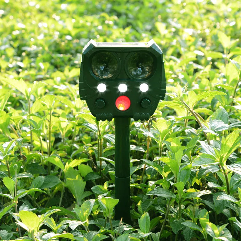 Green solar ultrasonic animal repellent with solar panel showing 12x13x5cm dimensions