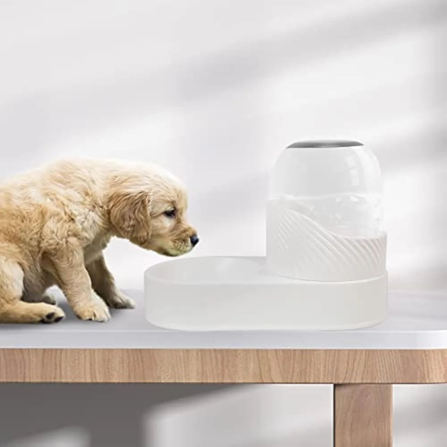 White automatic cat feeder and water dispenser set with wave-shaped design on a floor.