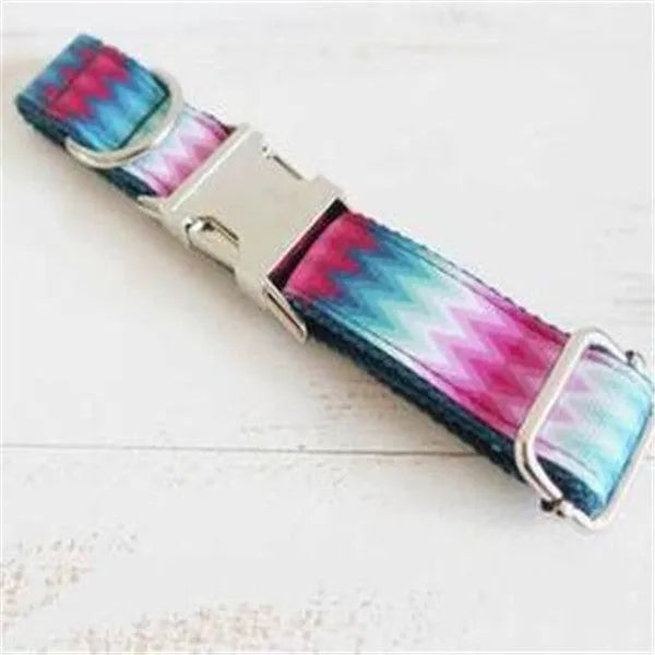 Pattern dog collar colour ribbon traction set in green polyester webbing on white background