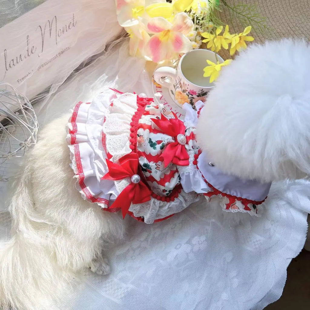 Rabbit skirt princess style polyester dress for small dogs on a size chart showing XS to XL measurements