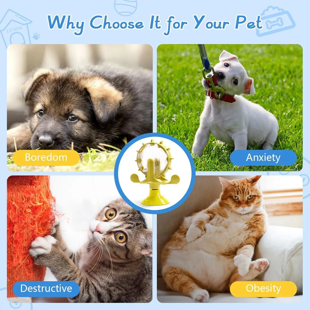 Interactive pet spinner toy in blue, green, red, or yellow with treat holes and suction base.