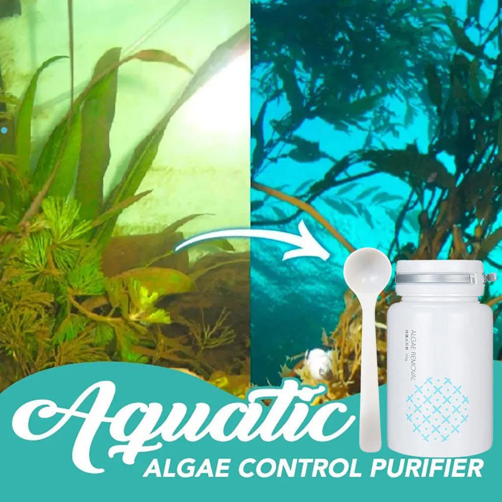 50g swimming pool algaecide container for algae and moss removal in aquatic environments