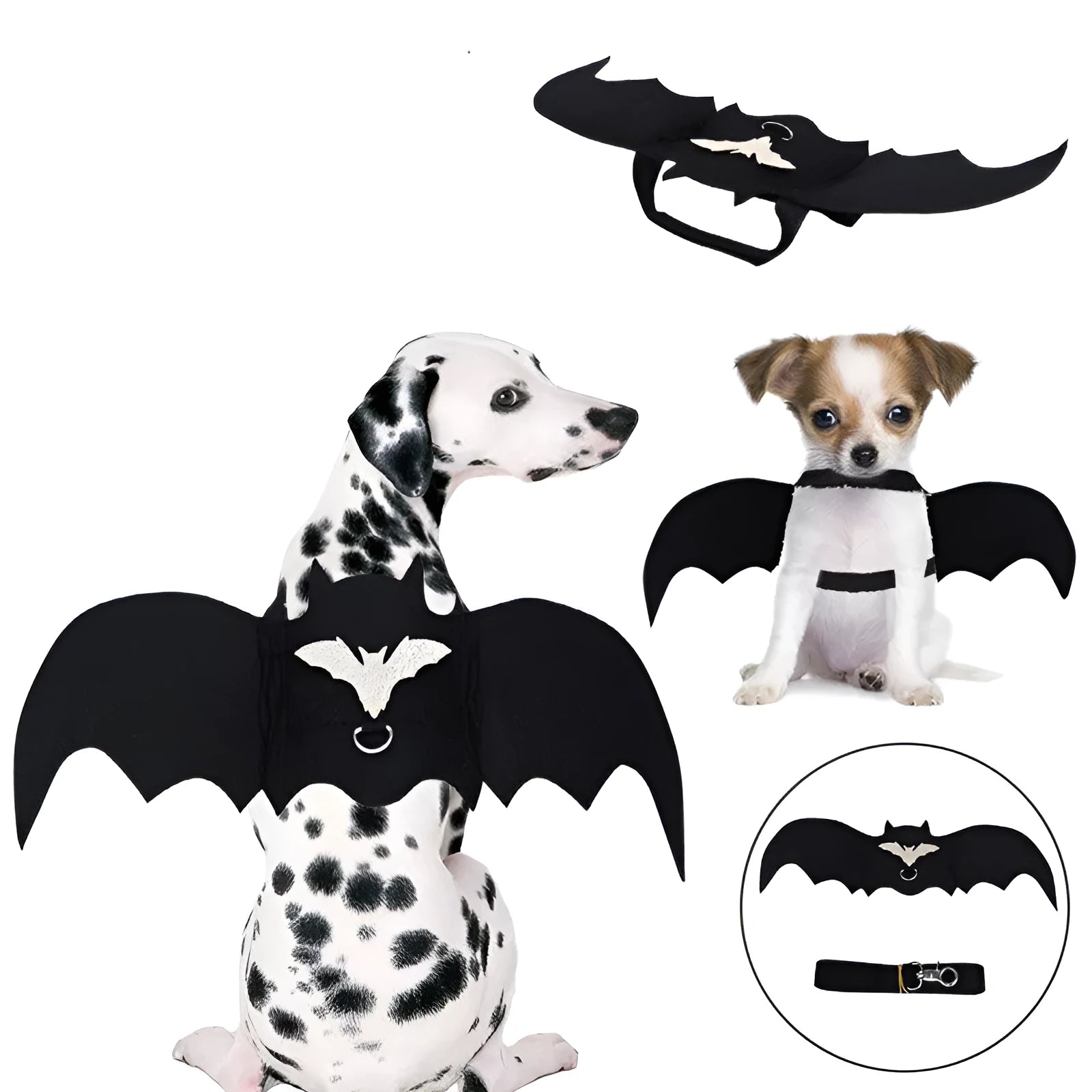 Black bat wing pet costume on dog, polyester felt fabric, Halloween outfit with wing shape