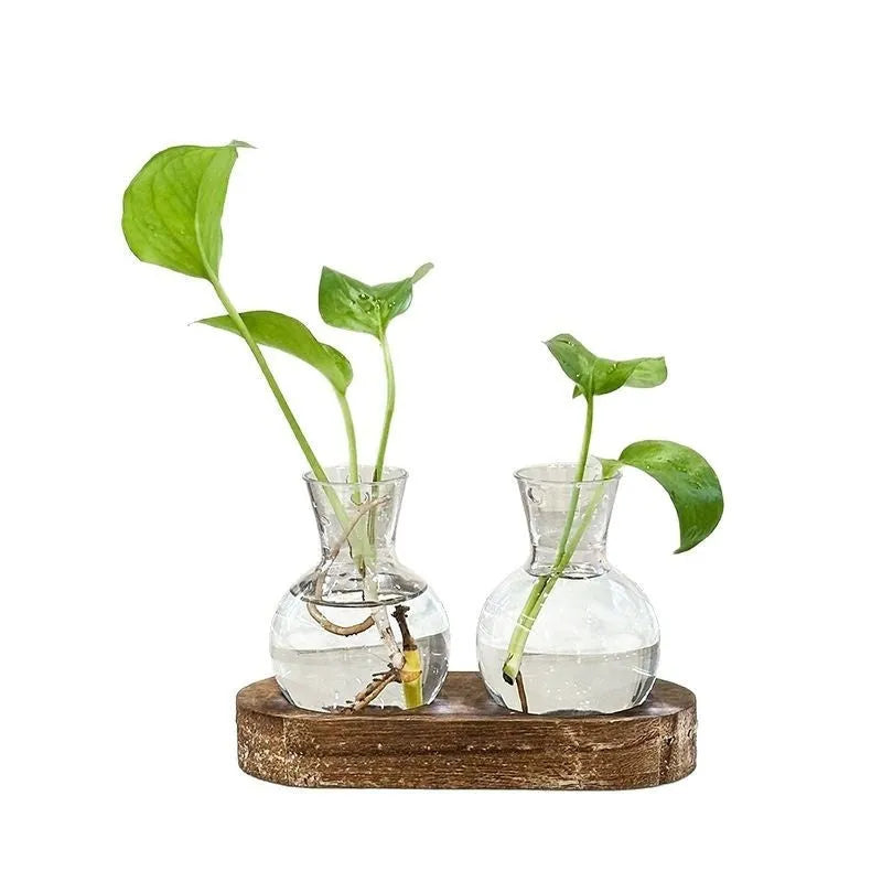 Transparent hydroponic glass vase with wooden frame in wood colour and retro colour options