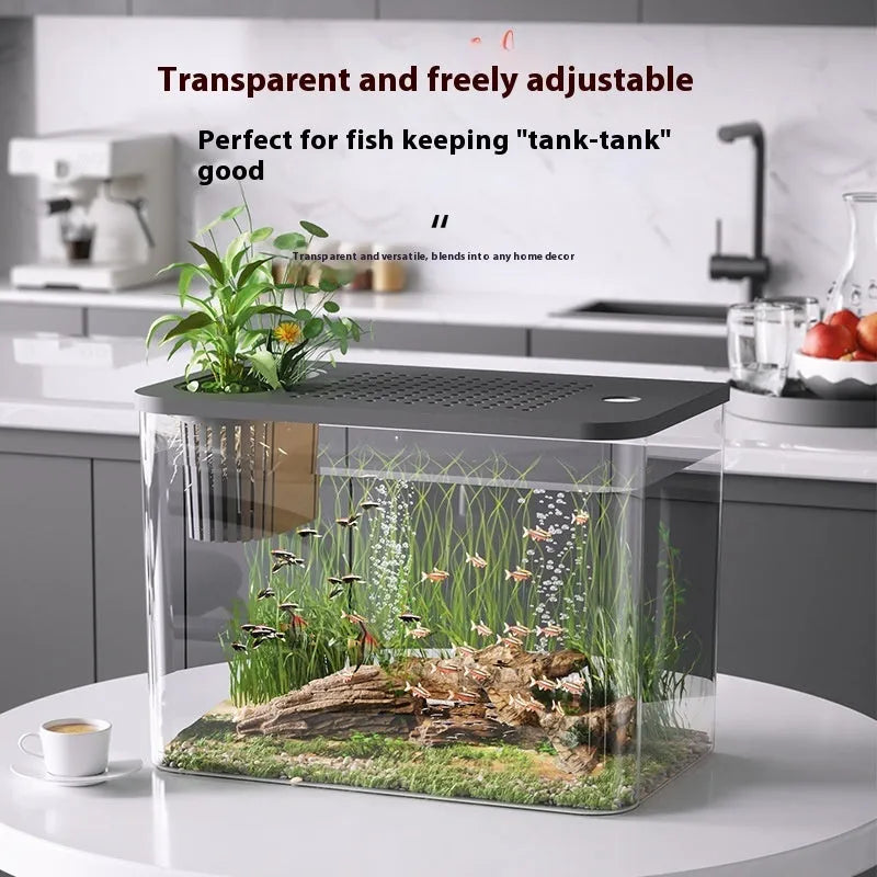 Black and white plastic betta fish tanks with lids, showing compact rectangular design.