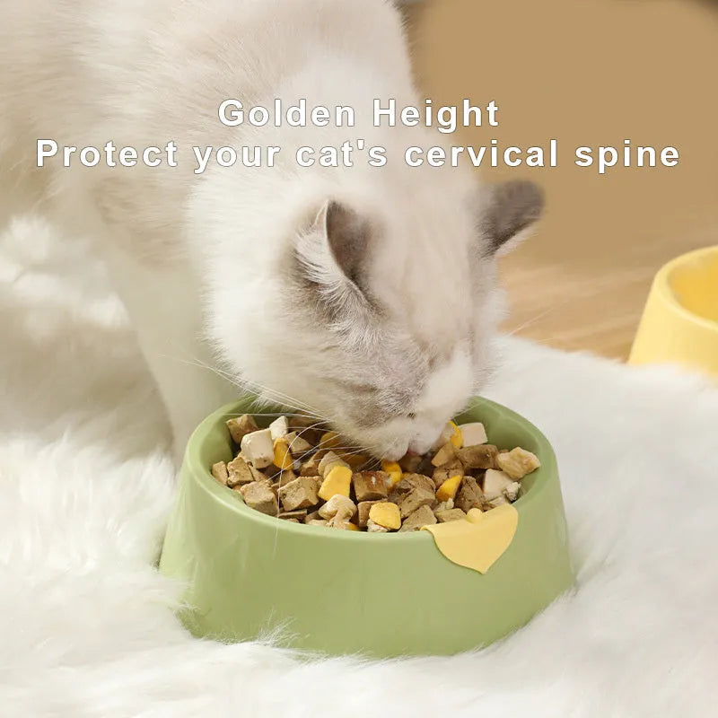 Green plastic anti-tipping pet bowl for cat or dog food and water